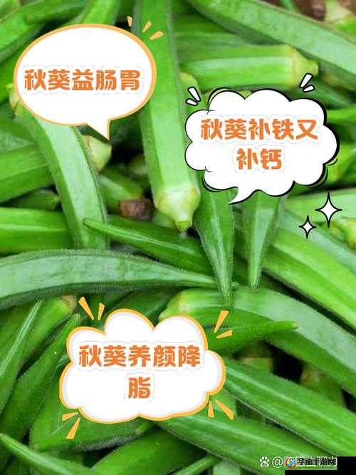 秋葵：适合未满十八岁的人吃吗？