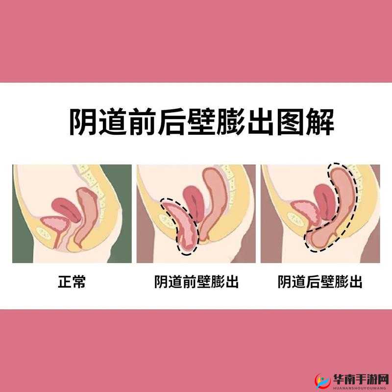 白人荫道 BBwBBB 大荫道的独特魅力与体验