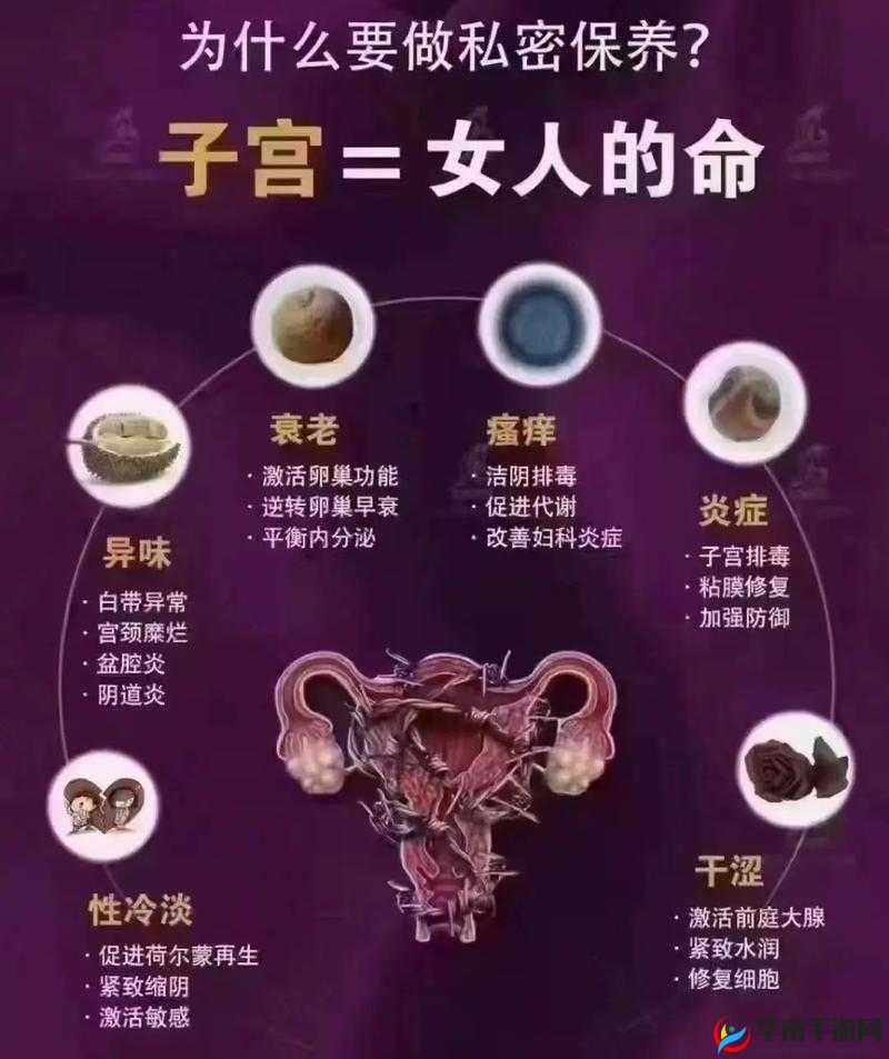 好•色•先•生 tv：揭秘两性私密生活