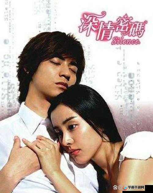 经典爱情电视剧：适合夫妻晚上温馨共赏