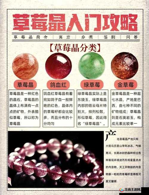 探寻精产国品一二三产区草莓的奥秘