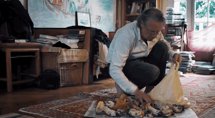 外国老人做交易森林：一段神秘而引人深思的历程