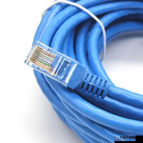 精品成品网线 1688 ：高品质网线 稳定传输 满足多样需求