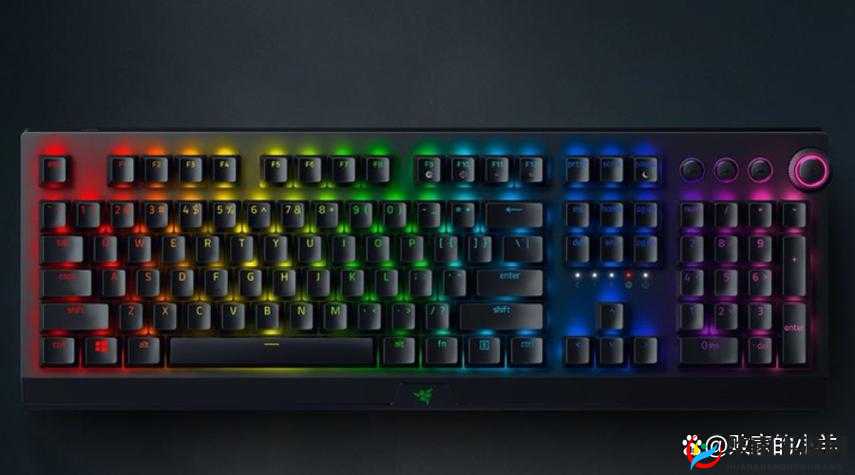 黑寡妇 v3 无线多少入手合适之全面分析与探讨