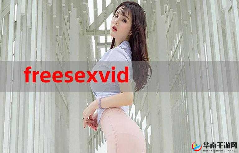 关于 china videos 真实的独特视角呈现