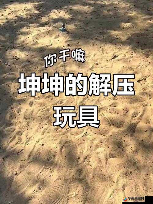 把坤放进定眼会引发怎样的奇妙反应呢
