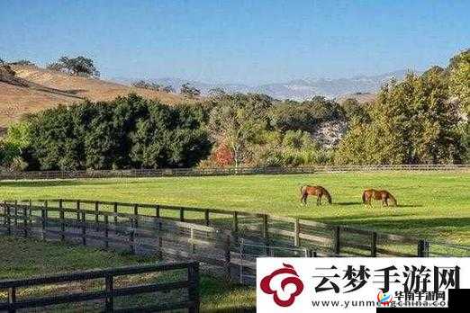 牧场 Zoom 与动物 Zoom 最新版本：开启奇妙动物世界之旅