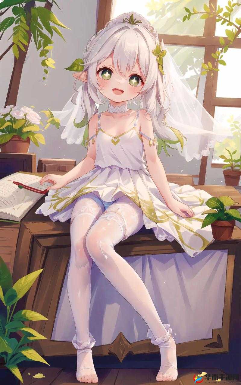 纳西妲无小内无爱心纳西：探索神秘世界的独特存在