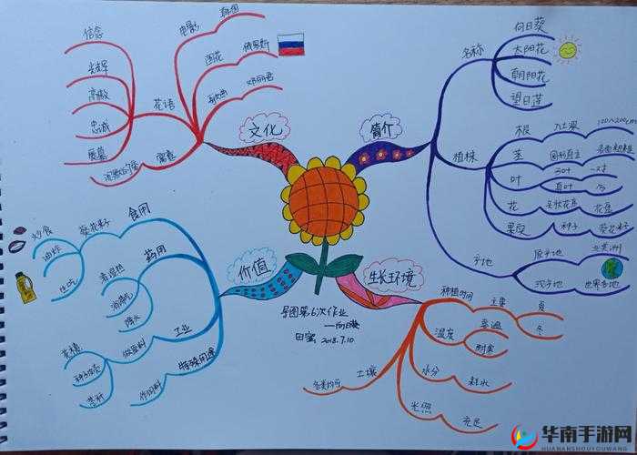 17c.c起草：呈现精彩独特的创意文稿起草服务