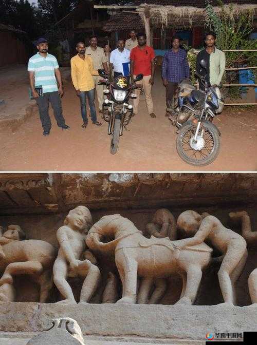 山羊与人哪个紧之探讨：引发的深度思考与分析