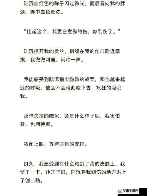 gb 当你把他抄哭了陆沉：极致情感触动的演绎