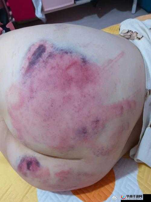 大白屁股 XXX：探究其背后的神秘与魅力