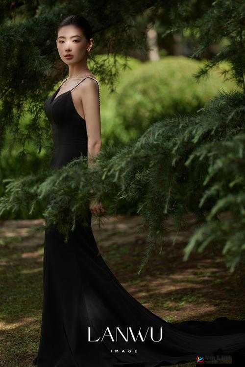 好色金先生TV：带你领略精彩的影视世界之旅