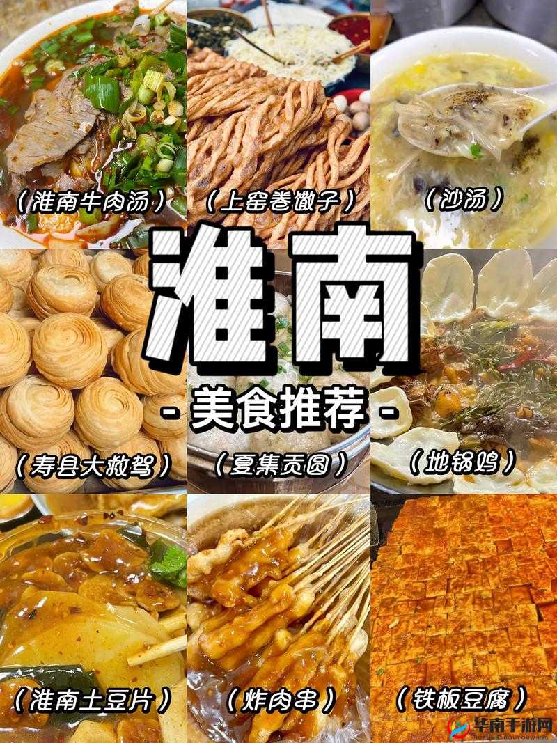 51 每日必吃热门网页版之美食探索与每日精选推荐