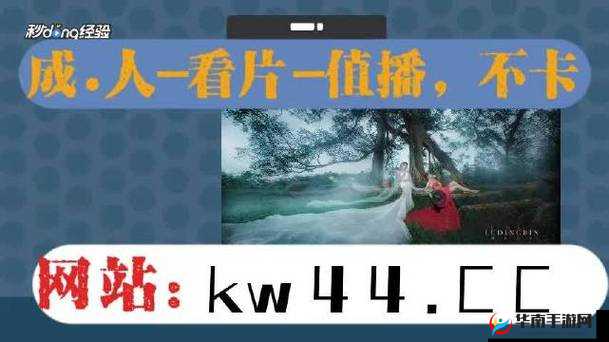 国产高清精品软件：畅享优质视觉盛宴
