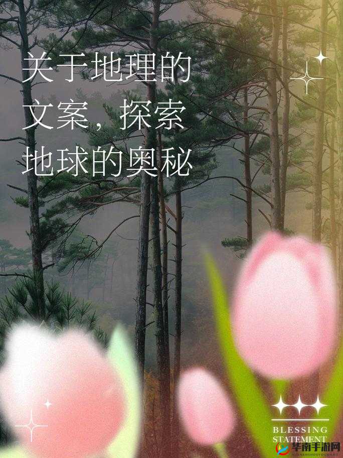 大地资源三在线观看：领略自然之美，探索地球奥秘