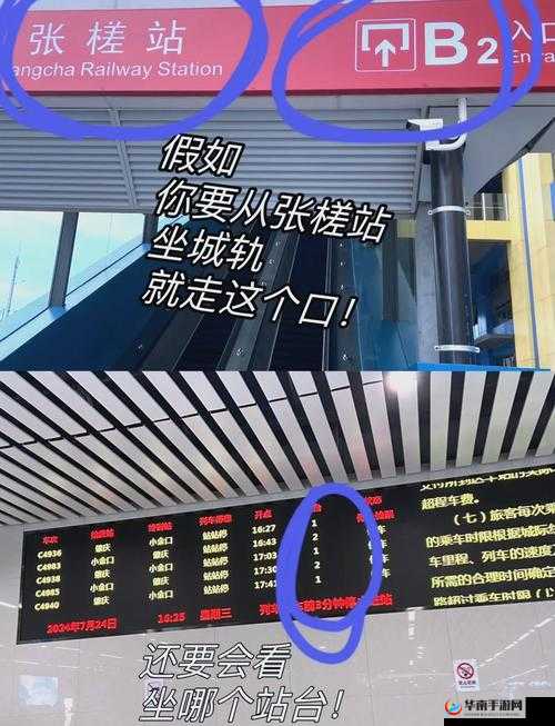 免费 b 站在线观看人数在哪儿：探索观众增长的奥秘