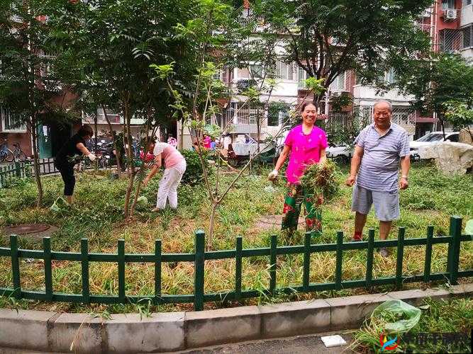 妻友社区：一个充满温暖与交流的美好家园