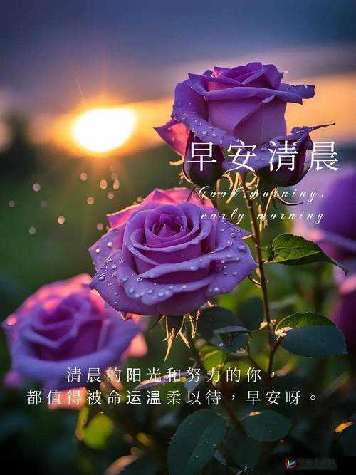 早安大人不要舔：愿您今日拥有美好心情与精彩际遇