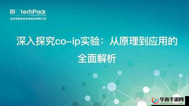年轻的继 5 中文：关于它的深入探究与全面解析