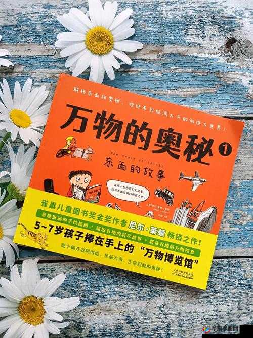 BBW100：探索其独特魅力与无限可能的奥秘之旅