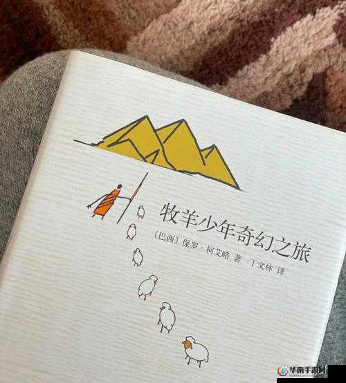 人马畜禽 CORPORATION 猪巴西：奇妙的奇幻之旅