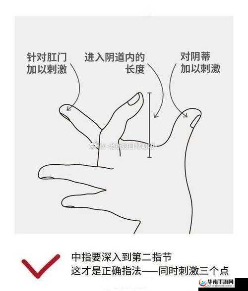 探索如何达到极致做高潮的奥秘与方法