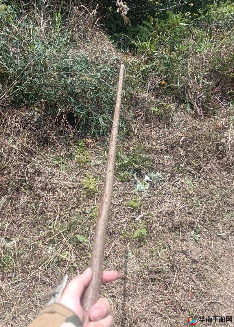 你裤子里怎么有一根棍子：令人惊讶的疑惑瞬间