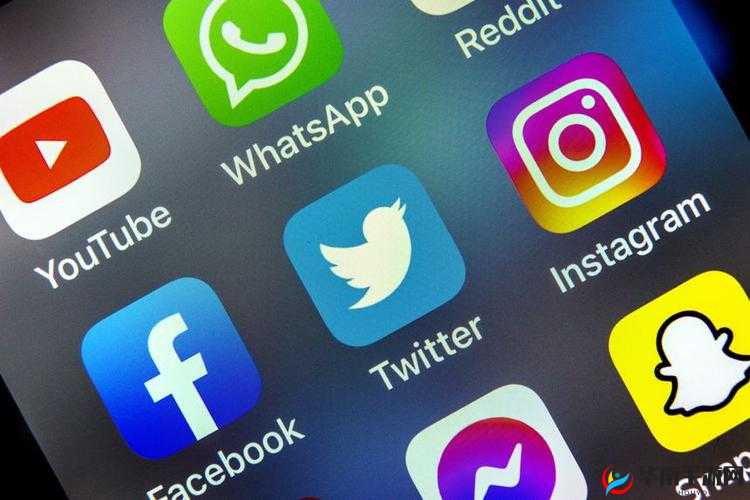 TOUCHITRIKKA 被永久禁用了：社交媒体平台的决定及影响