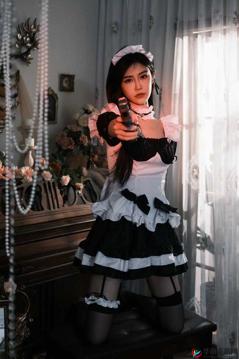 女仆之欢：温柔侍奉与私密愉悦的交织