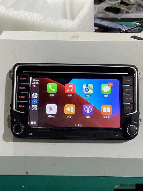 大菠萝福建导航在线入口：提供精准便捷的导航服务