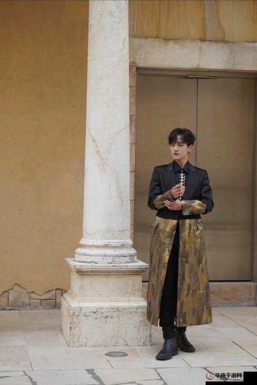 国产 Chinese 男男麻豆的独特魅力与风采