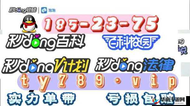 一分快三月夜可空降用户评价：优质体验备受赞誉