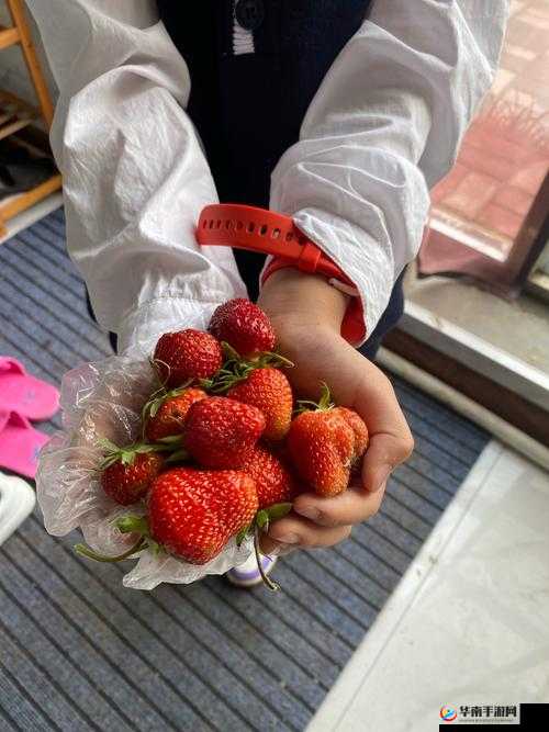 国产情侣草莓视频在线：甜蜜爱情的真实记录