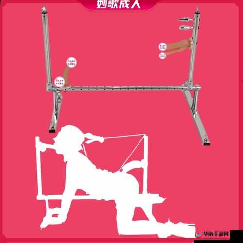 男男罚跪夹玉势 SM 调教：探索未知的性癖好