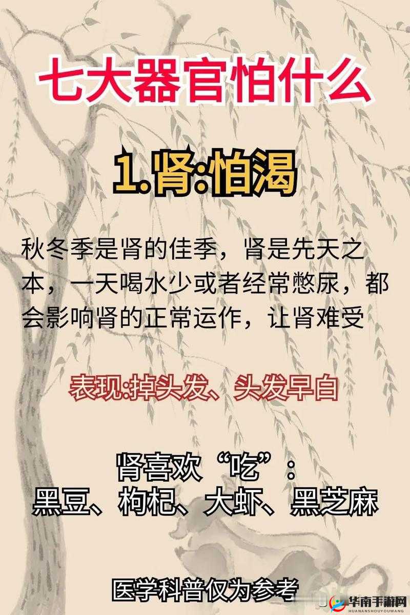 中医治疗：小雨的奇妙体验