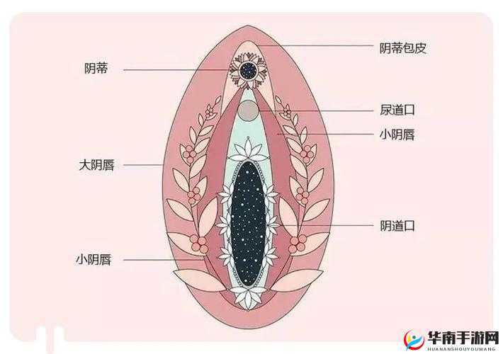 荫蒂被男人添，那极致舒服爽口的奇妙体验