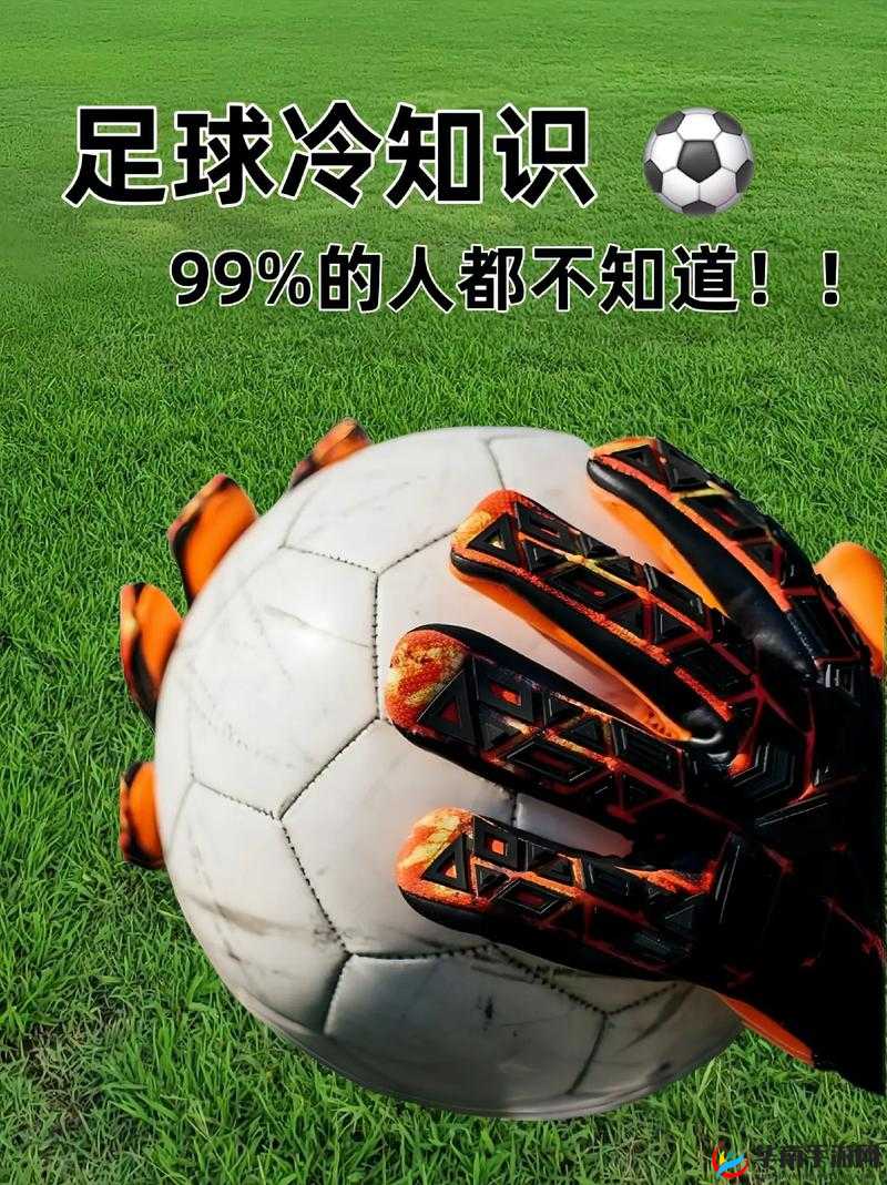 ：黑土ちゃんが脚法技巧教学：成为足球高手的秘密