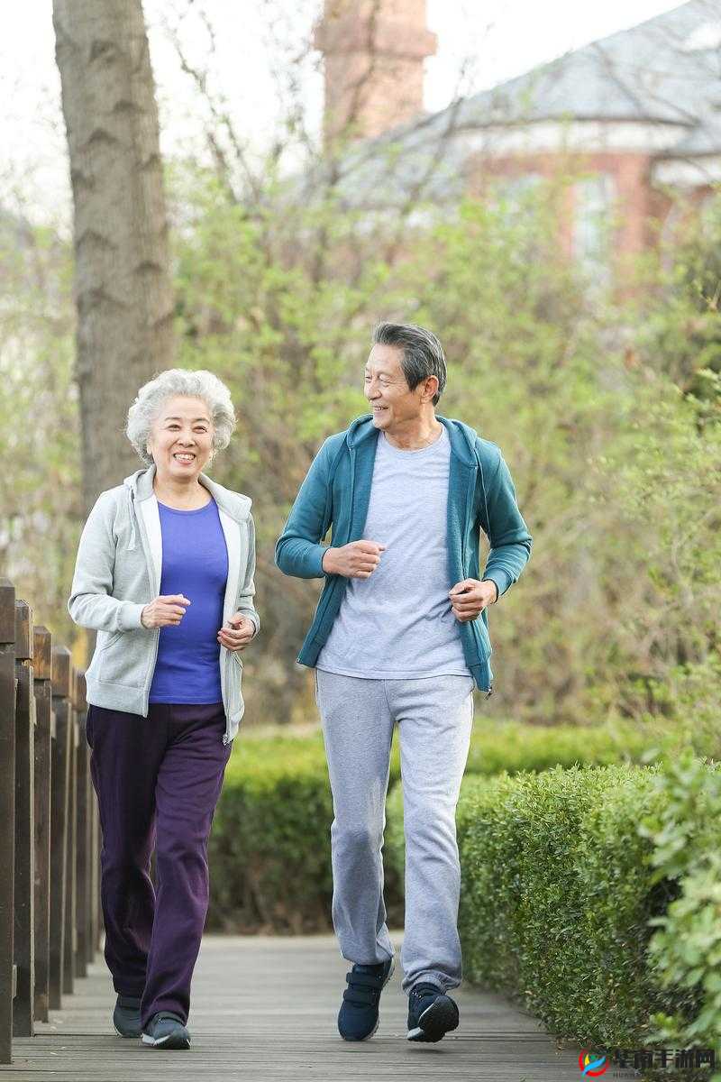 欧美肥老太婆交：探讨老年人的性健康与幸福生活