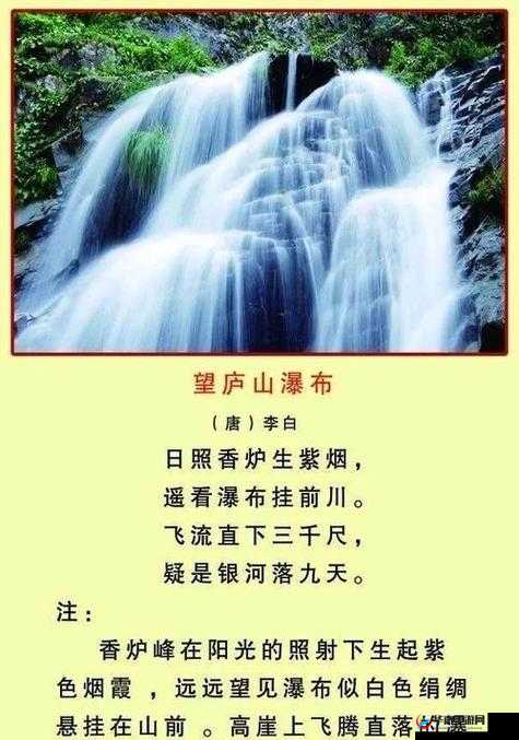 水帘白瀑如饥似渴一丛金黄：大自然的奇妙恩赐与绝美景观