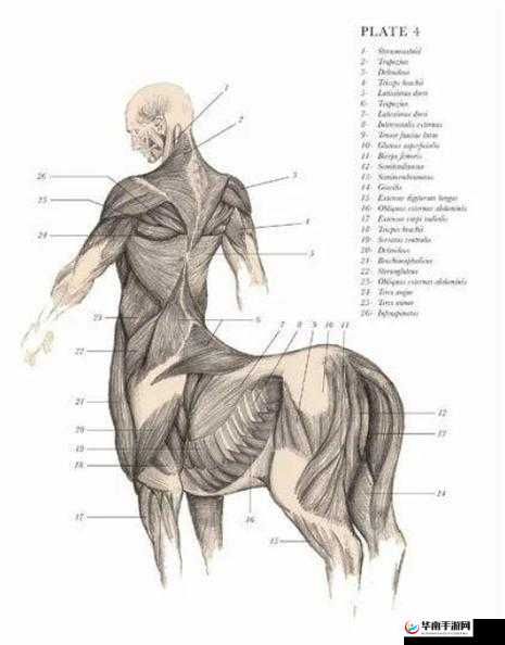 人马畜禽相关行业发展新趋势探讨：人马畜禽 Company Limited 的未来之路