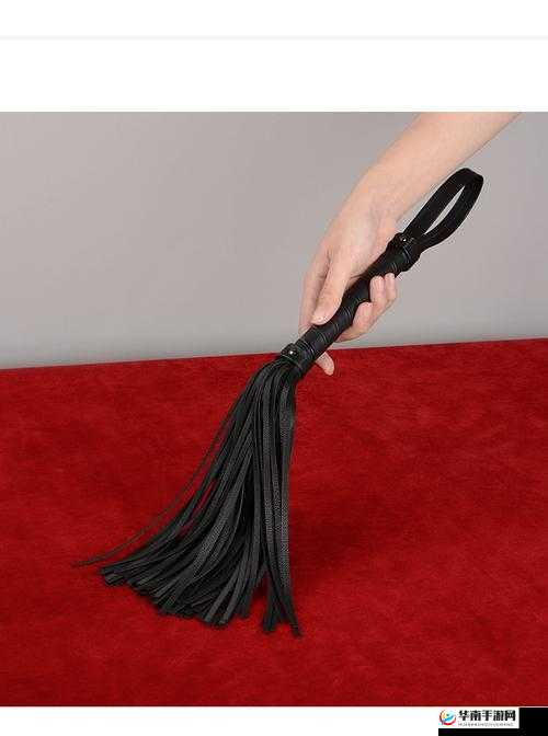 将手脚绑上拿刷子脚心：独特行为背后的深层探究