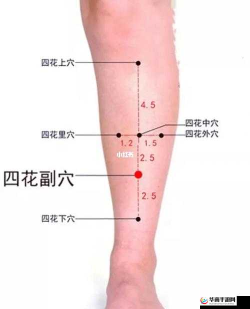探究吸 嗦花穴插入背后的真相
