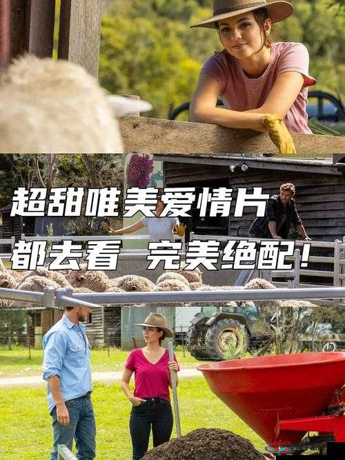 五月影院，畅享精彩电影时光：动作片、爱情片、喜剧片等各类影片等你来