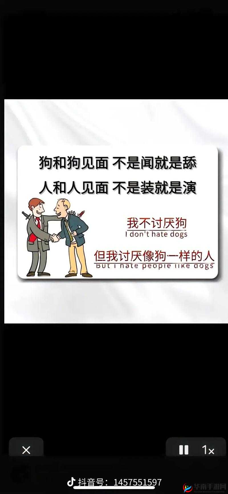 和狗狗卡了一晚上：这是一段令人难忘的独特经历