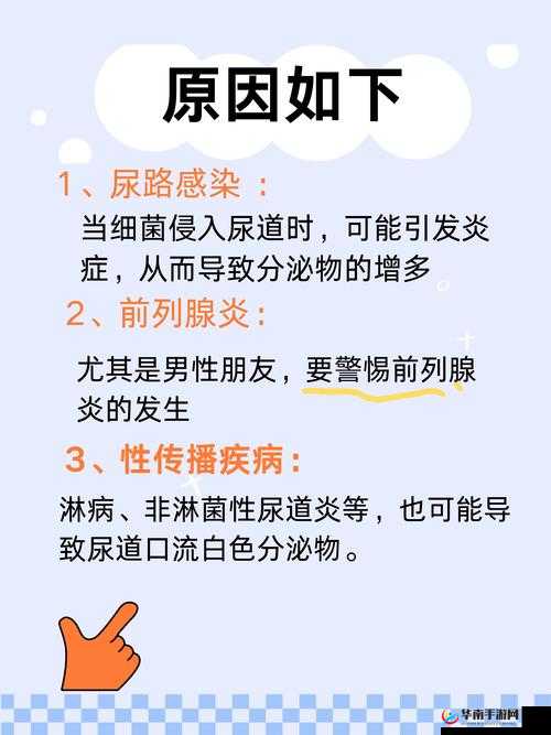 胡桃尿道口流出白色脓状物是什么？——可能是这些原因导致