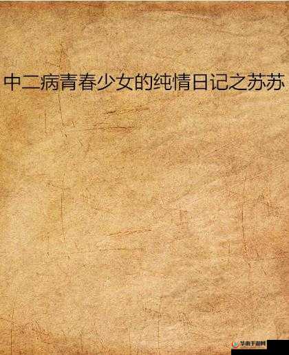 苏苏的日记公交车：在摇晃中探索未知的旅程