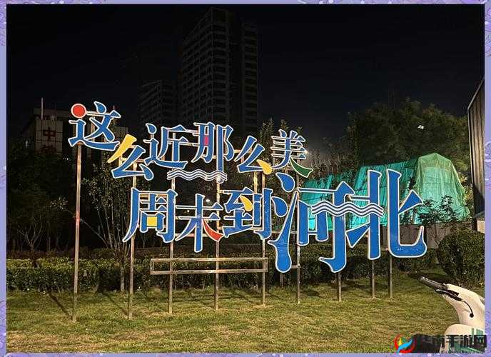 喂饱你的次数：探索一夜的极限