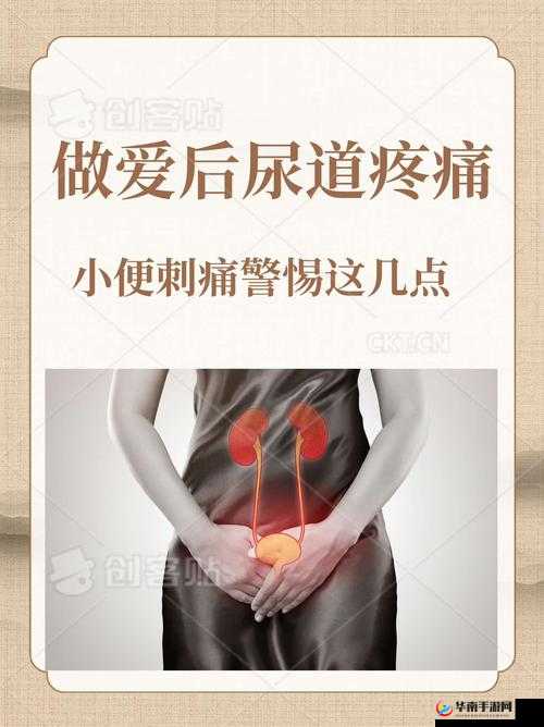 做了爱后尿道疼痛小便刺痛该如何应对及注意事项