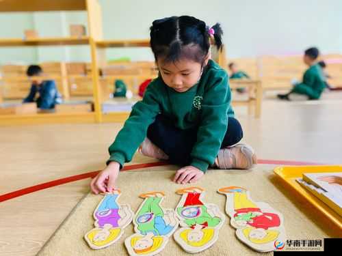 双胞胎一前 一后夹心饼干双子:探索奇妙的成长之旅